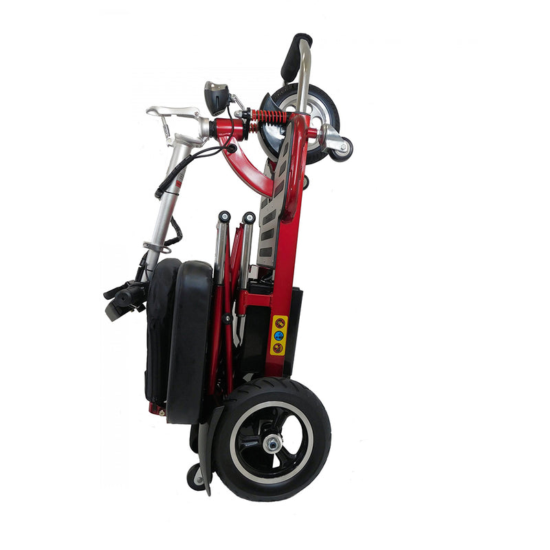 Triaxe Cruze Folding Scooter