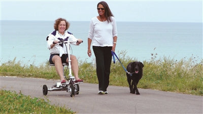 Smart Scoot Travel Scooter