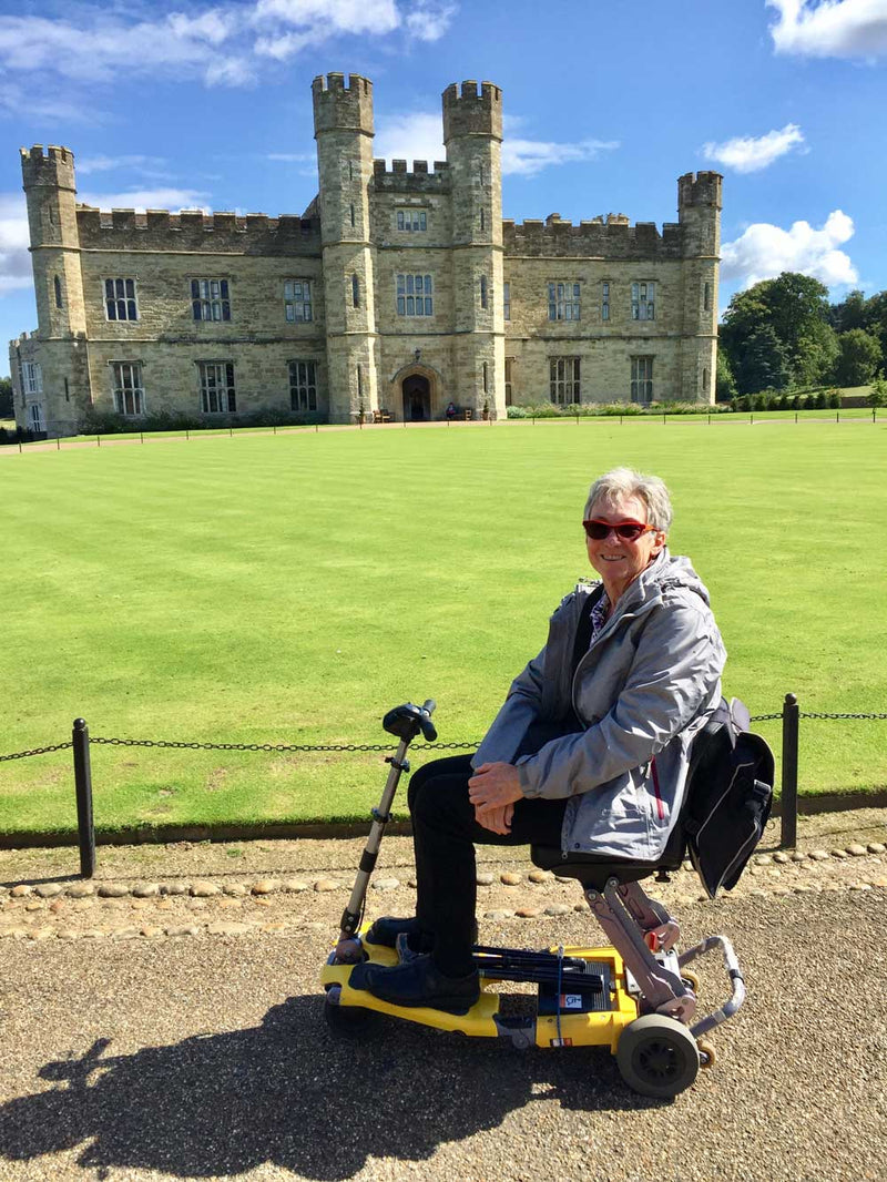 Luggie Elite Scooter