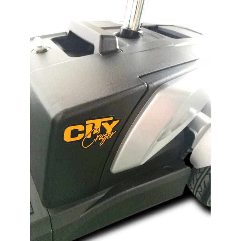 EV Rider CityCruzer Battery